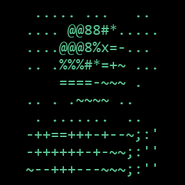 ASCII portrait of Marta Oyelaran, VP Engineering at Neon Ledger.